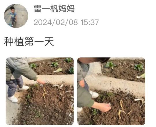 20240220【生活燕幼·园区动态】“新年齐动手，劳动乐无穷”——幼儿寒假日常生活劳动实践活动_html_m567ce1eb.jpg