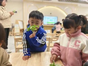 20240403【生活燕幼·园区动态】“浸润童心 情忆清明”——舌尖上的节气之清明_html_3d0c5a5f.jpg