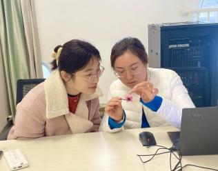 20240403【生活燕幼·园区动态】聚焦审议 共促成长——主题课程审议教研_html_ed28e38.jpg