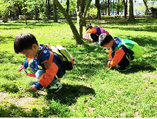 20240418【生活燕幼·园区动态】“春来日渐长，儿童寻春忙”——春游活动_html_m2308ac5.png