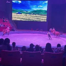 20240418燕幼中心园亲子春游活动_html_ma480121.jpg