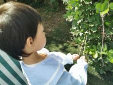 20210604祥和园区芒种节气活动_html_3cc94d9a.jpg