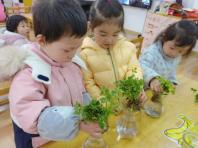 20210531祥和园种植团新闻_html_74c4d5a5.jpg