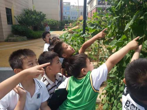 20210604【园区动态】芒种节气活动_html_700f2673.jpg