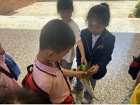 20240514【生活燕幼·年级组动态】燕幼中心园：花开有时，衔接成长——大班年级组参观小学活动_html_5e27542.png
