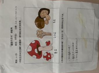 年级组动态_html_m657184ee.jpg
