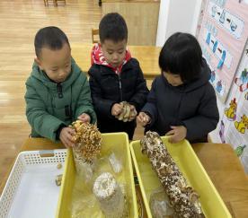 年级组动态_html_m238a1c5f.jpg