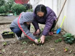 20201224祥和园区种植团_html_68e2b4db.jpg