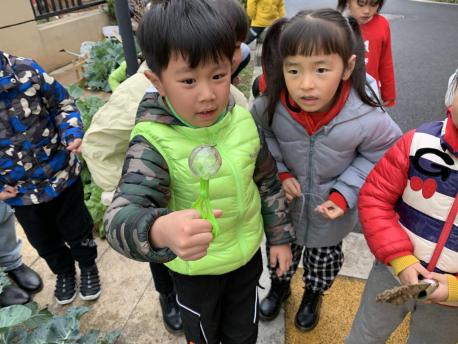 20210113【班级动态】大一班项目课程分享——蚂蚁探秘之旅_html_3620446f.jpg