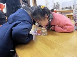 2023.4.14【生活燕幼·教研组动态】燕幼中心园：趣探科学，互促成长---科学教研组公开课活动_html_1c98f587.jpg