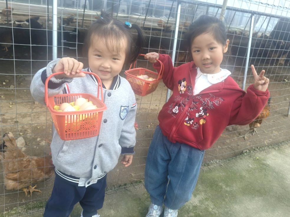 【生活燕幼·园区动态】下庙分园:大手牵小手,一起“趣”秋游——亲子秋游活动_html_29ae3641.jpg