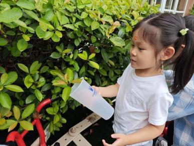 20231008中二班寒露节气活动_html_m2942a179.jpg