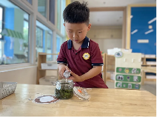 20240607【生活燕幼·园区动态】“五月初五 端午安康”——燕幼燕鸣苑分园端午节活动_html_c97b220.png