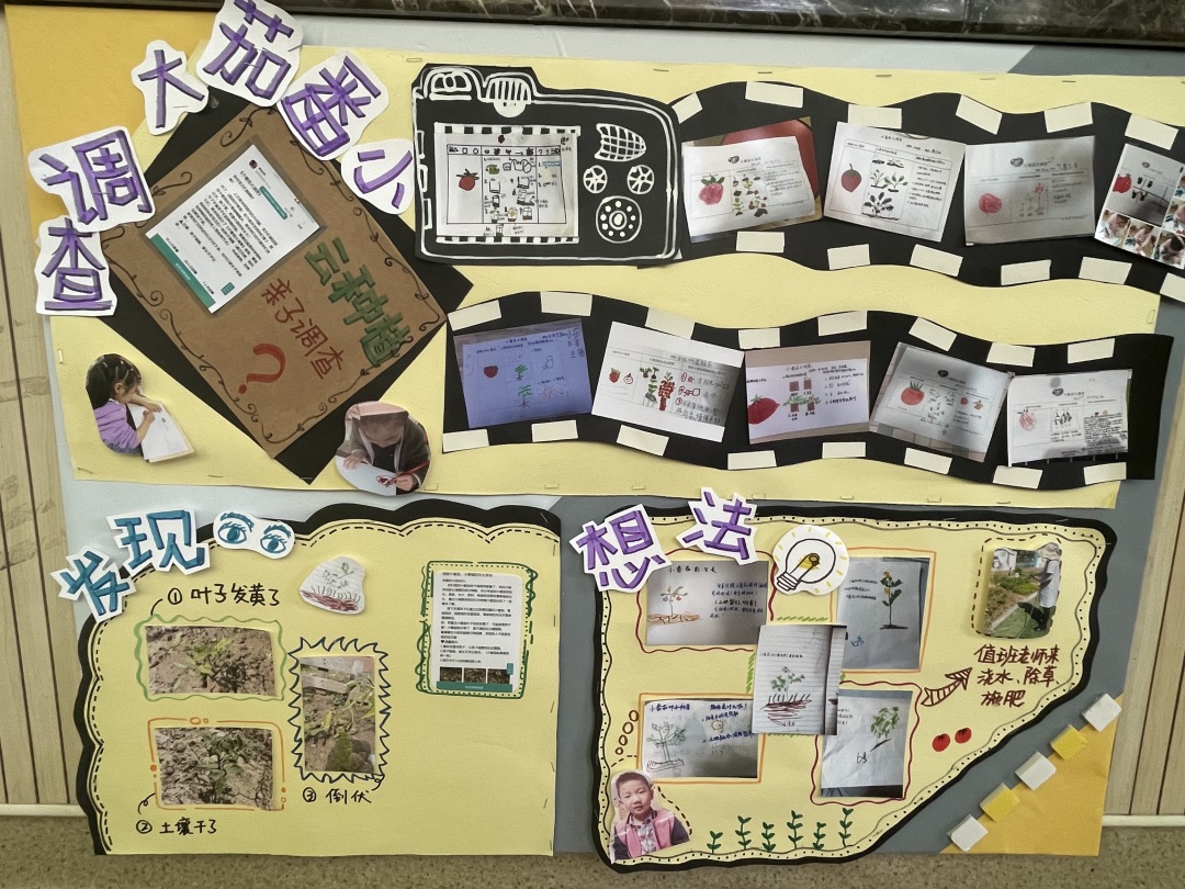 20220614【园区动态】下庙园区：“播种希望 收获成长”——班级种植墙评比活动新闻稿_html_m3ca0bb6.jpg