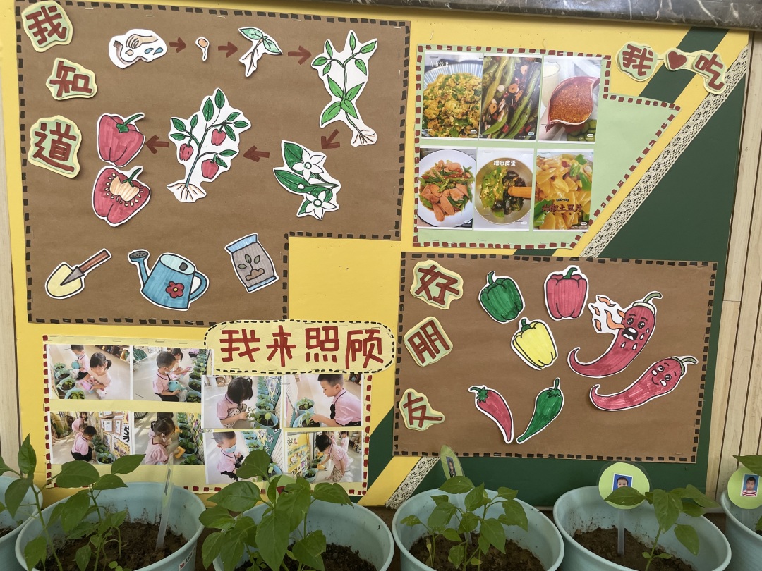 20220614【园区动态】下庙园区：“播种希望 收获成长”——班级种植墙评比活动新闻稿_html_m6eb8bc82.jpg