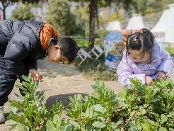 【生活燕幼·园区动态】燕幼中心园雨水时节，润物无声——大一班雨水节气活动_html_111fdad6.jpg