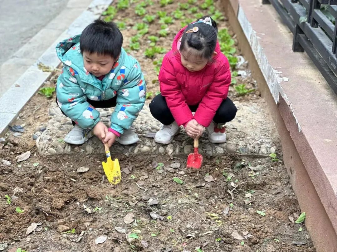 20230217【生活燕幼&middot;园区动态】燕鸣苑分园：一朝春雨 万物清明——雨水节气活动_html_m7086090f.jpg
