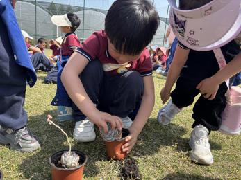 20250408 【生活燕幼·园区动态】燕鸣苑分园：“不负春光，趣享成长”——春游活动_html_11329c91.jpg