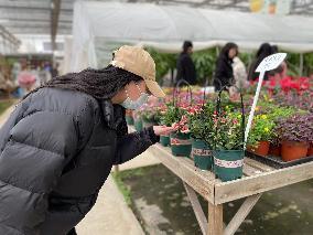 “赴一场春天的约会”——燕子矶幼儿园教职工工会活动555_html_34bdc96e.jpg
