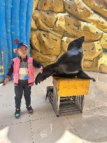 20230407燕幼中心园亲子春游活动_html_5387f21d.jpg