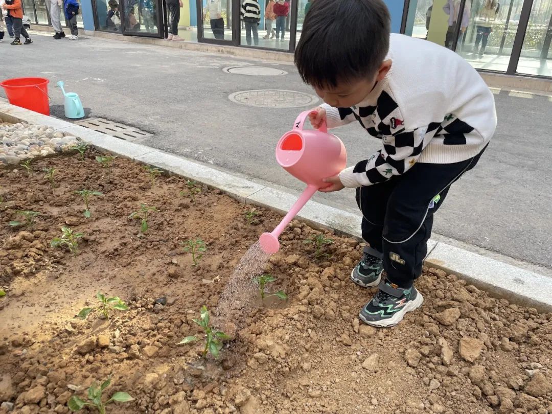 20230328【生活燕幼·园区动态】燕鸣苑分园：趣探惊蛰 万物新生——记小二班惊蛰节气活动_html_m3a150c8d.jpg