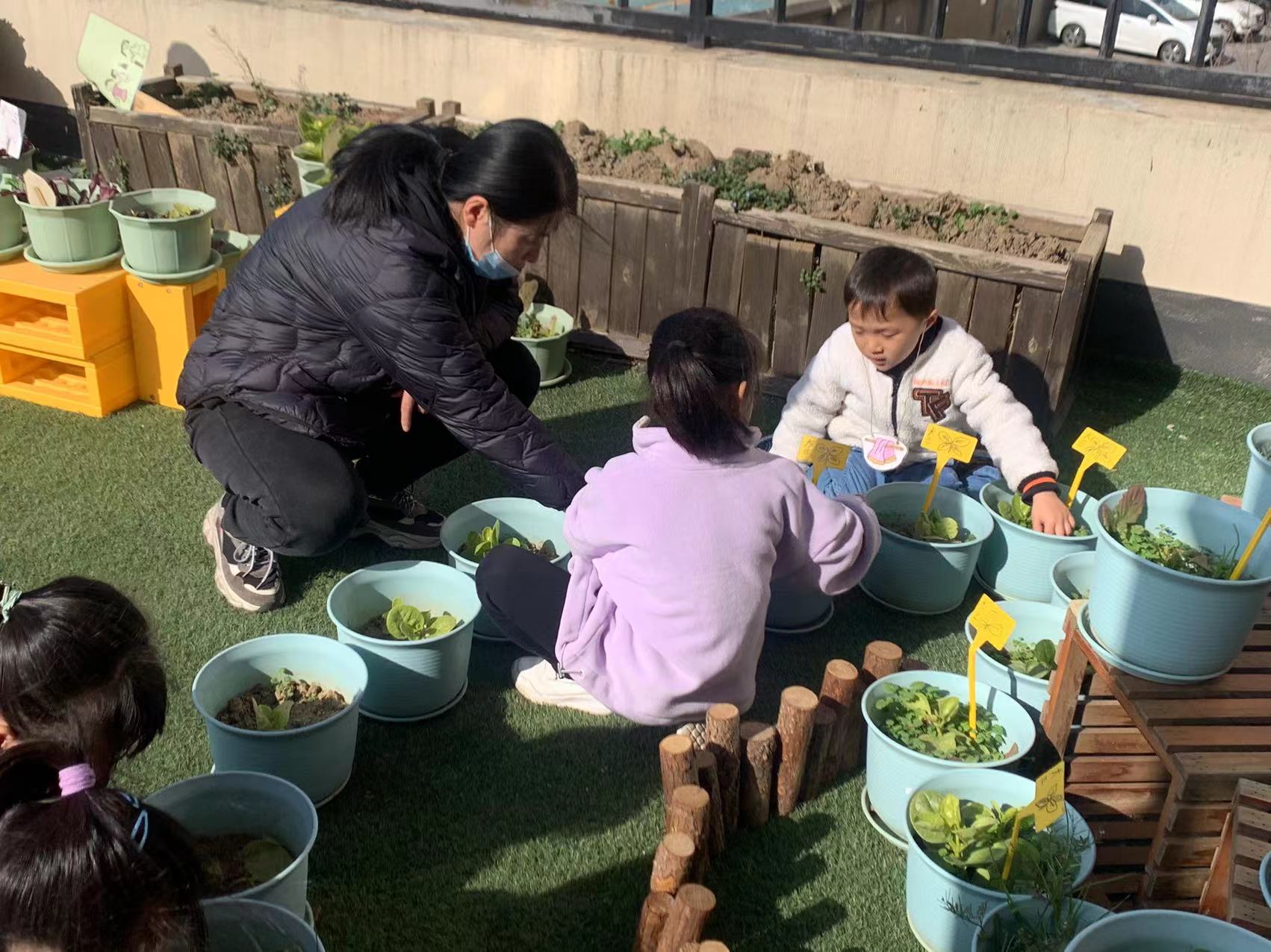 20231208【生活燕幼·年级组动态】下庙分园：“家长乐参与，幼儿趣种植” ——大班种植团活动_html_ac2292e.jpg