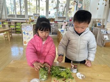 【生活燕幼·园区动态】下庙分园：“大雪至，寒冬始”——大雪节气活动_html_m53585c97.jpg