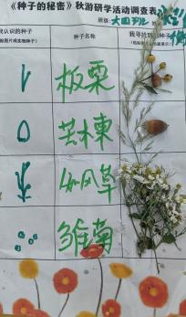 【生活燕幼·园区动态】下庙分园：秋意正浓时，一“童”“趣”郊游——亲子秋游活动_html_690603bb.jpg