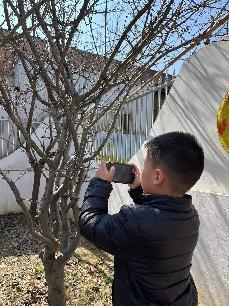 2023.03.09燕幼中心园 大二班 惊蛰节气活动_html_5ccd9919.jpg