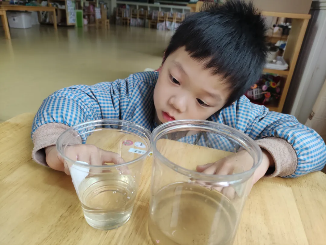 20230322新城世界水日(1)_html_1320137f.png