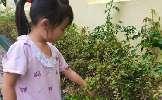20240923秋分节气活动_html_43397952.jpg