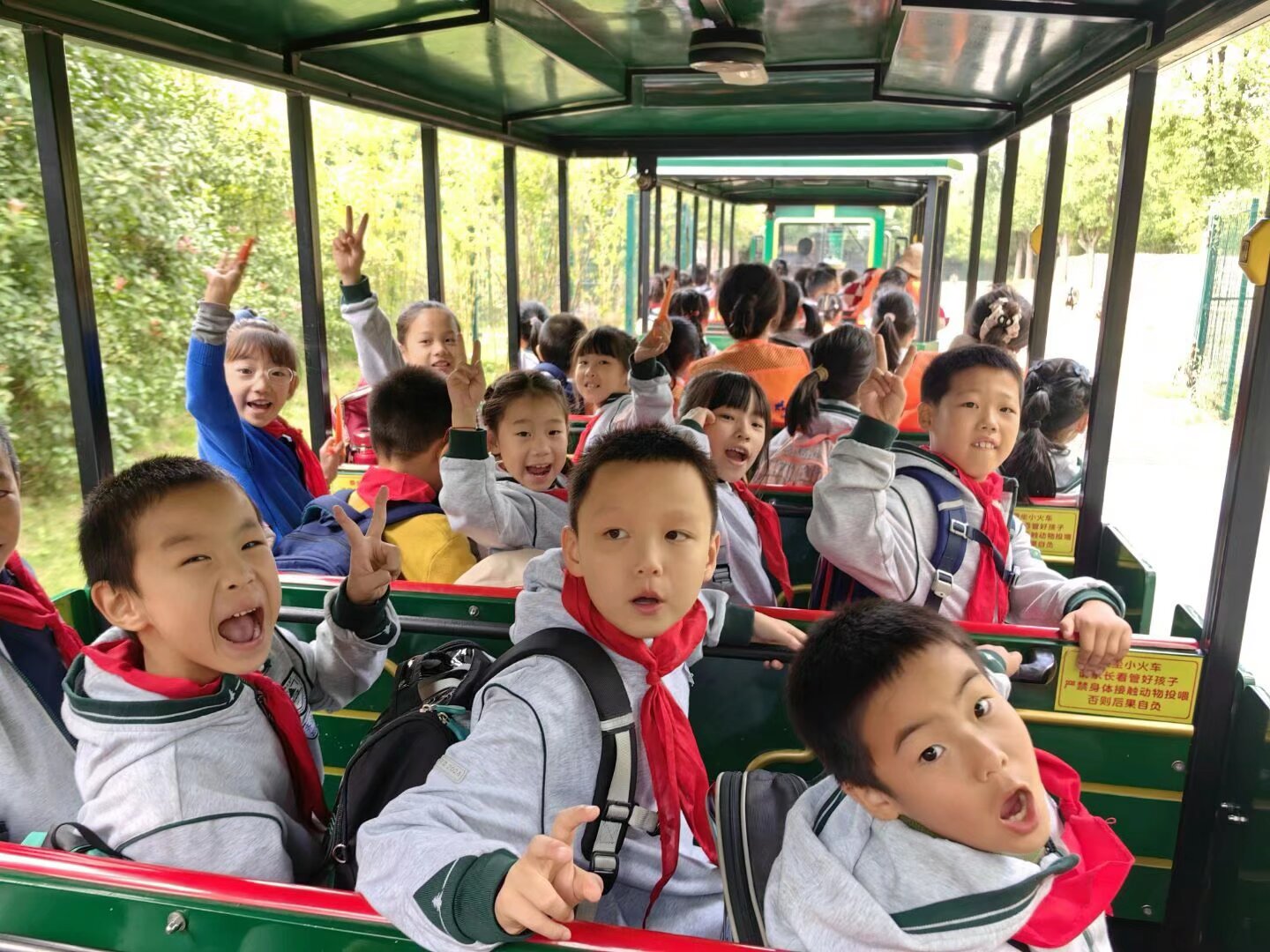 一二年级 (5).jpeg