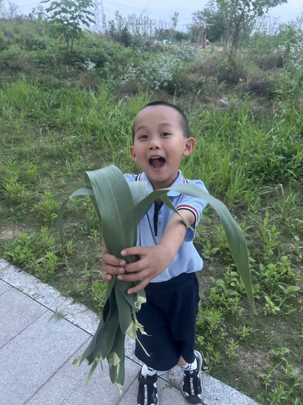 QQ图片20240606152336.jpg