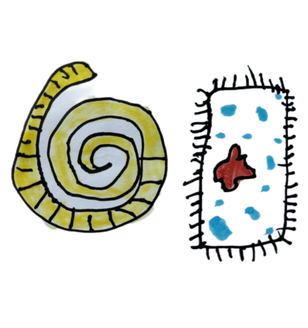 640 (5).png