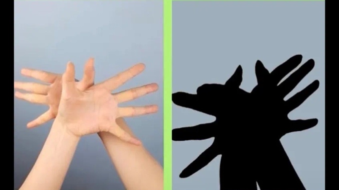 螃蟹.jpg