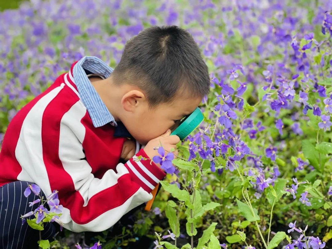 临时_html_m6a368a0.jpg