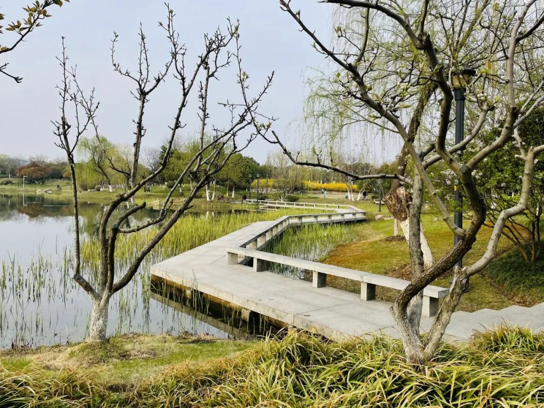临时_html_m5edb9365.jpg