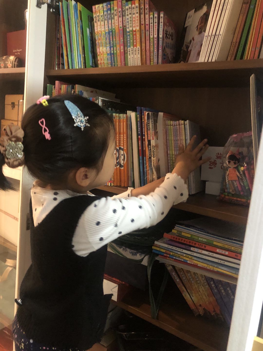 整理图书 (9).jpg