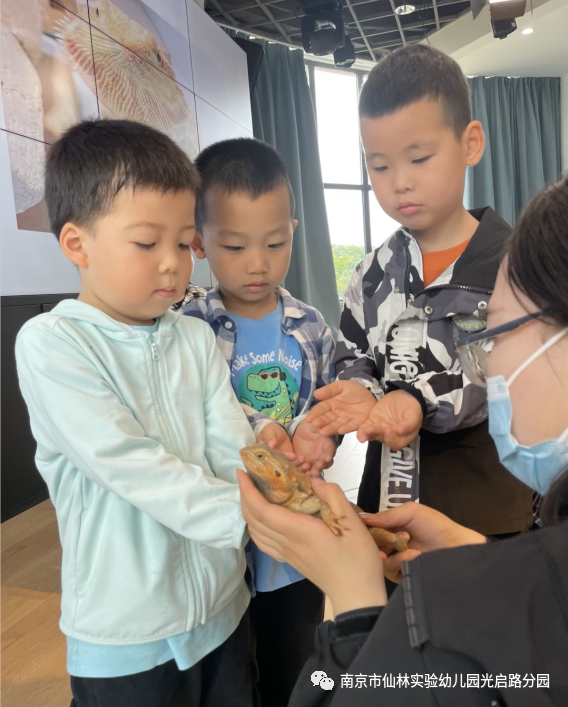 光启_html_2004f206.png