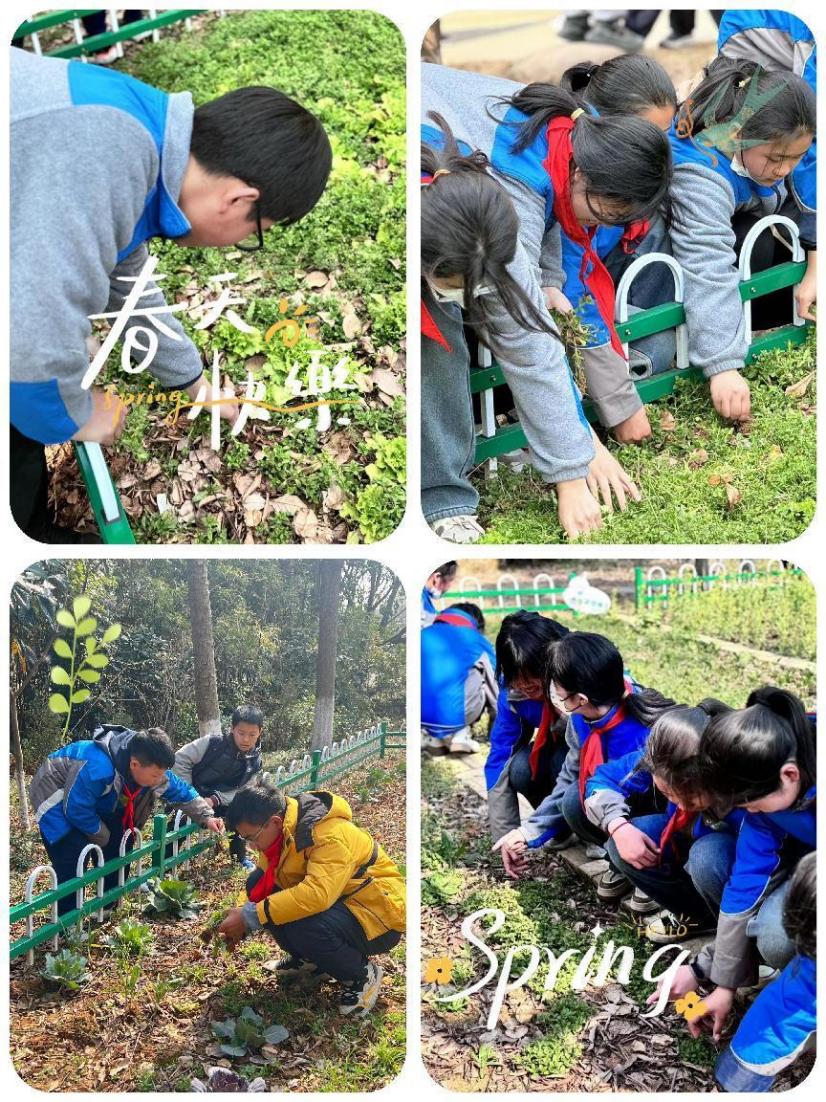 2024.3.11.-支丽娟-弘扬雷锋精神，护绿环保我先行_html_12044370.jpg