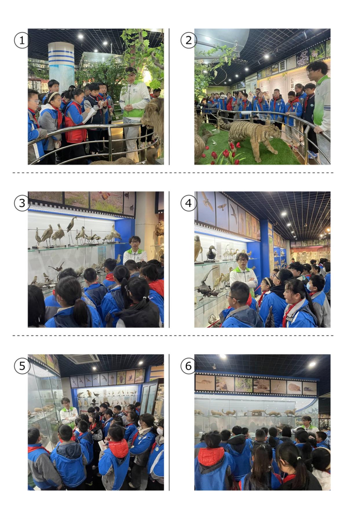 社会实践新闻稿_html_7e12597d.jpg