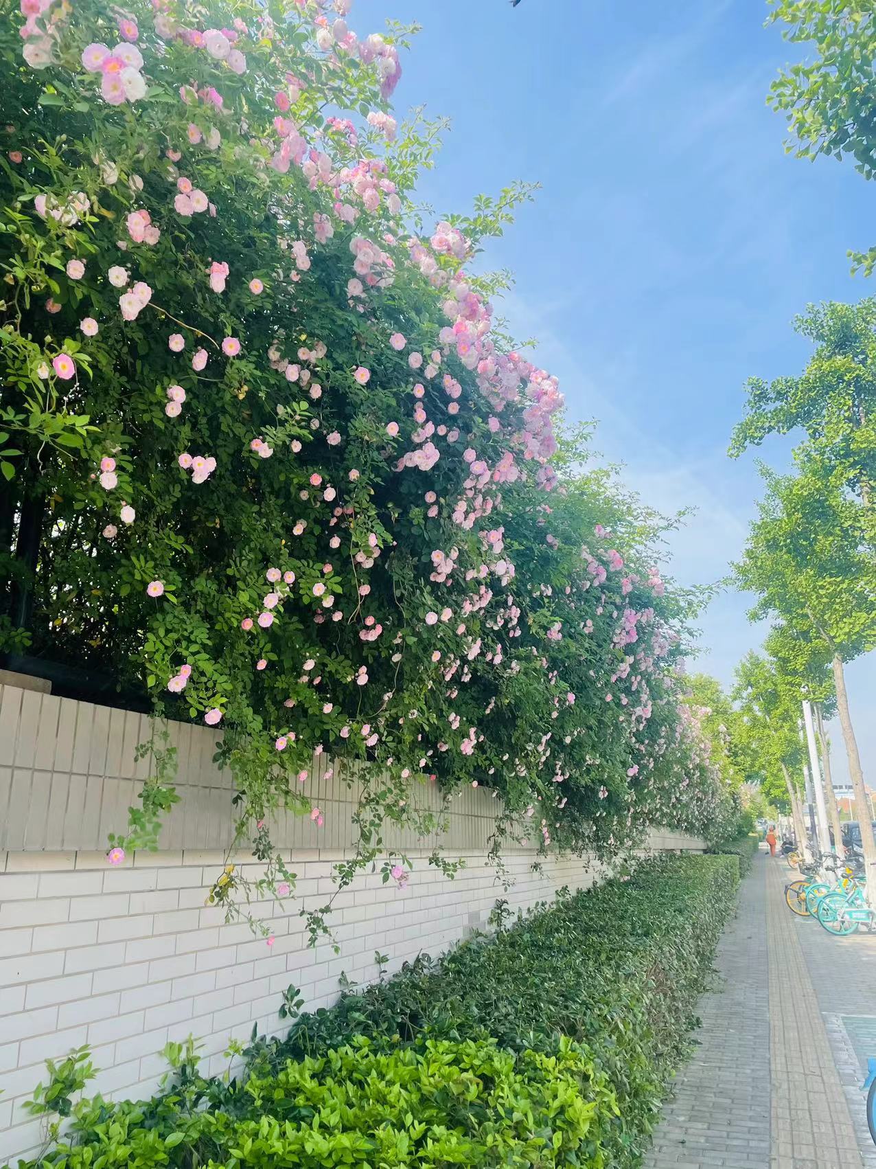 四年级漫步诗林新闻稿_html_6918d5a1.jpg
