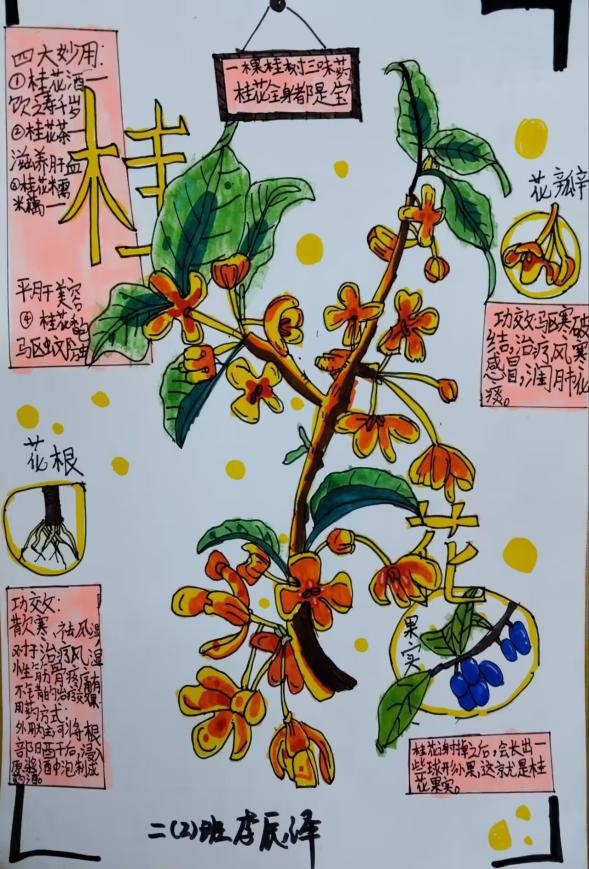 我为班级选班植语文实践活动报道_html_5e440779.jpg