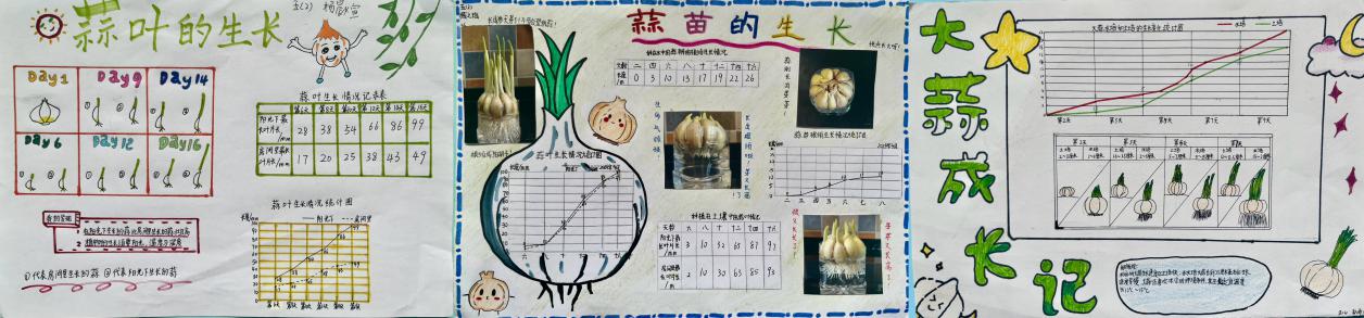 20240412五年级数学实践活动报道_html_3f3765bd.jpg
