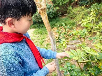 20250312植树节活动_html_1830dea6.jpg