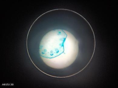 20250312植树节活动_html_15724e38.jpg