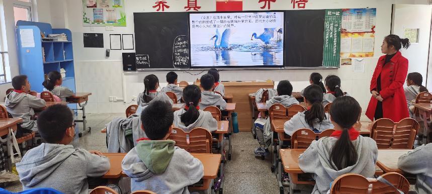 2023.10.20高年段美文诵读比赛 王晶晶写_html_m21186692.jpg