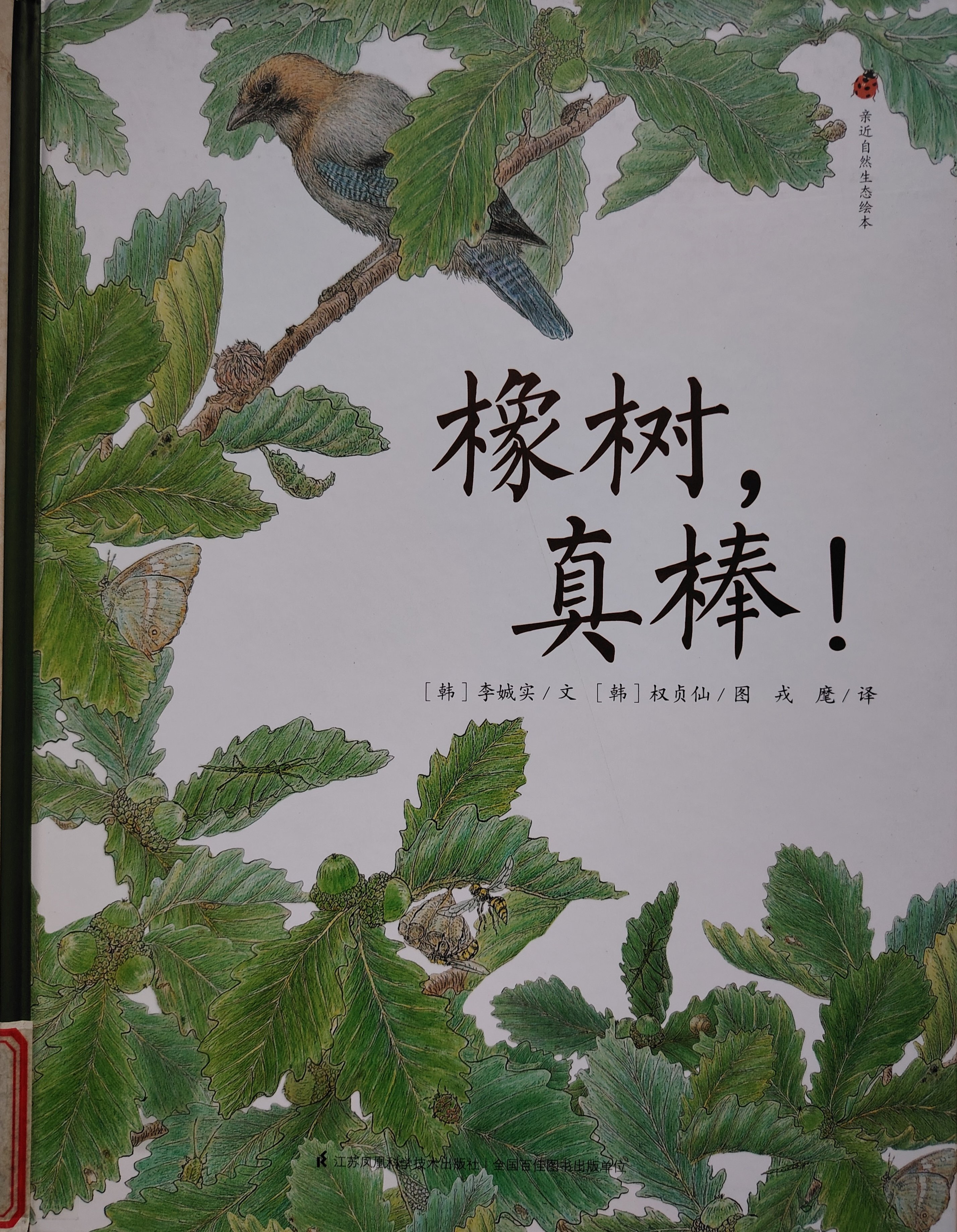南湾营小学图书馆2025年6月好书推荐_html_m5a0a00d5.jpg