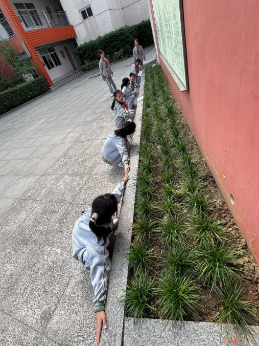 20241024综合实践活动测量面积新闻稿_html_196dc8b1.png