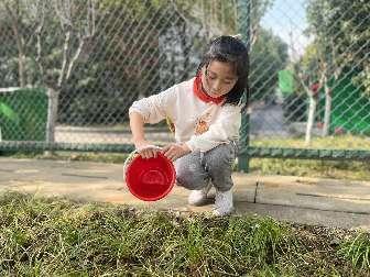 春风十里，正“植”有你_html_4090050e.jpg